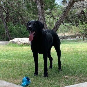 Meet your Posher, Jay